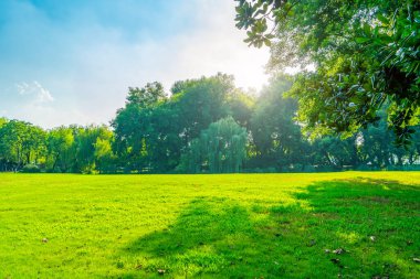 Park güneşli çayırlık yeşil önlükler