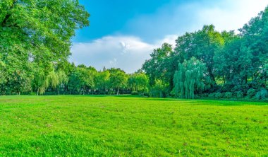 Park güneşli çayırlık yeşil önlükler