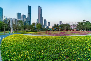 Guangzhou Şehri Modern Mimari Manzarası Skyline