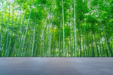 Parktaki yeşil bambu ormanının arka planı