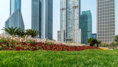 Şangay Lujiazui Mimari Manzarası Skyline