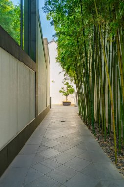 Bahçe manzaralı bambu ormanlarında yol