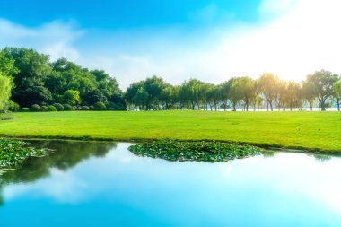 Park, göl, çayır ve ön bahçeler.