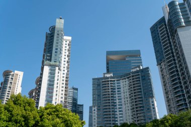 Lujiazui 'nin modern mimari manzarası, Şangay