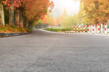 Sonbahar renkli orman ve dağ yolu