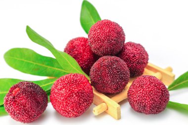 Beyaz arkaplanda kırmızı bayberry