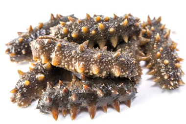 Beyaz arka planda domates soslu deniz hıyarı.