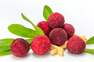 Beyaz arkaplanda kırmızı bayberry