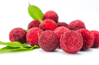 Beyaz arkaplanda kırmızı bayberry