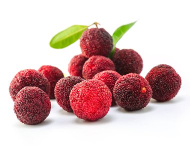 Beyaz arkaplanda organik bayberry