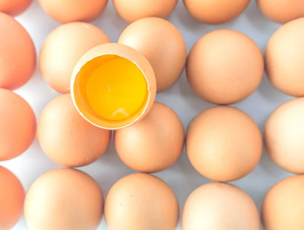 Farm Fresh Egg Background Material — Stock Photo, Image