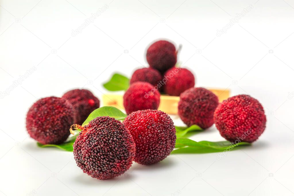 Red bayberry on white background