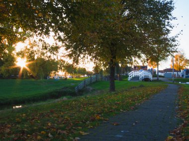 Oudega, Hollanda kırsal, Europe ilinde Friesland yaprak yıkılışı.