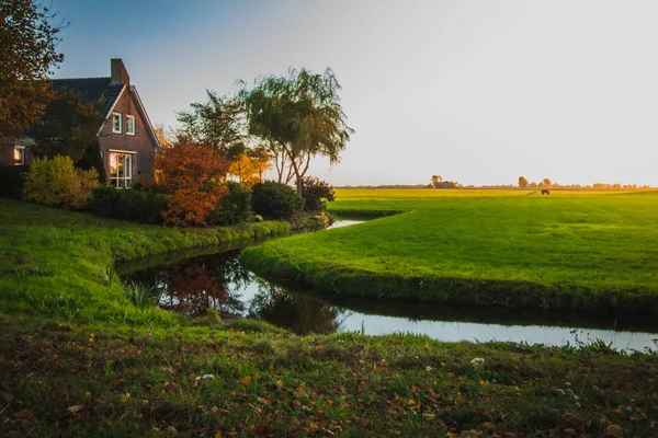 Typisk Nederlandsk Landskap Friesland Provinsen Nederland Europa – stockfoto