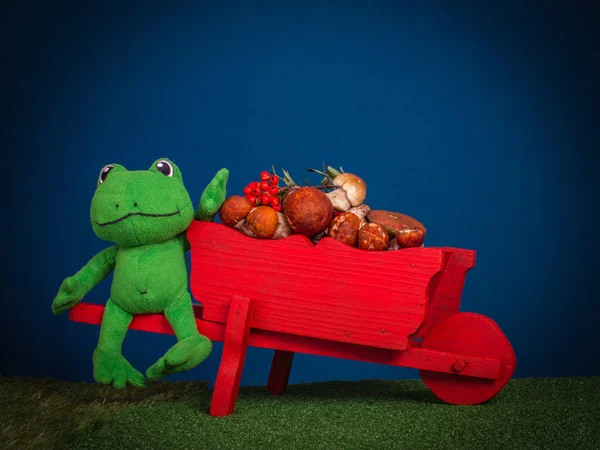 Sapo Verde Com Carrinho Mão Madeira Vermelho Cheio Cogumelos Florestais — Fotografia de Stock