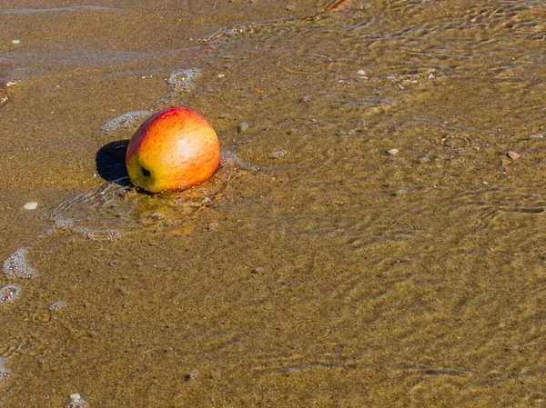 Ensam Apple Ligger Våta Sanden — Stockfoto