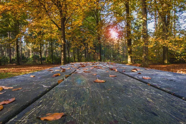 Стол Свободного Пространства Украшения Осеннего Фона — стоковое фото