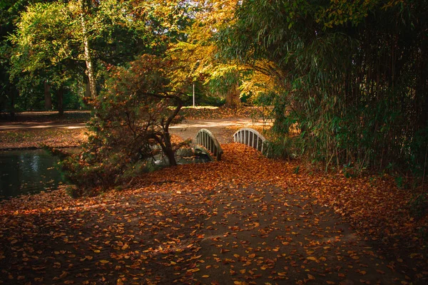 Día Soleado Parque Otoño Oosterhout Países Bajos — Foto de Stock