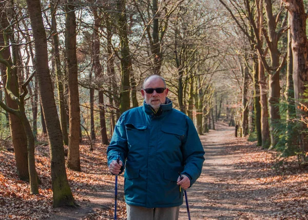 Homme Mûr Actif Marche Nordique Dans Forêt Vie Forme Senior — Photo