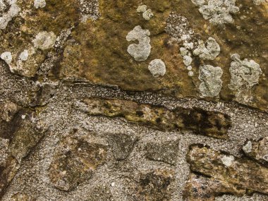 Dokulu eski taş duvar. İskoçya, halka açık yerlerde, İngiltere'de binaların mimari yüzey parçası.