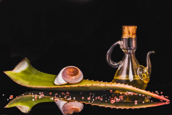 Skład liści aloe vera, butelka oleju, ślimak, morze soli o — Zdjęcie stockowe