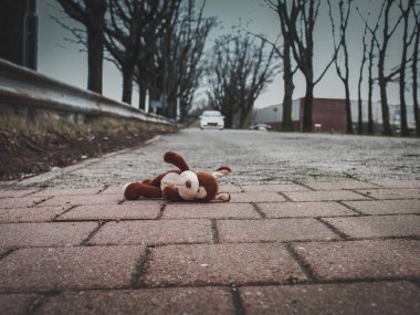 Yumuşak oyuncak köpek, yolda yalan. Sokakta çocuk güvenliği kavramı