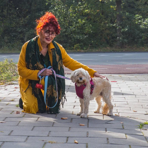 Atraente setenta mulher em roupas coloridas posando com um cão  , — Fotografia de Stock