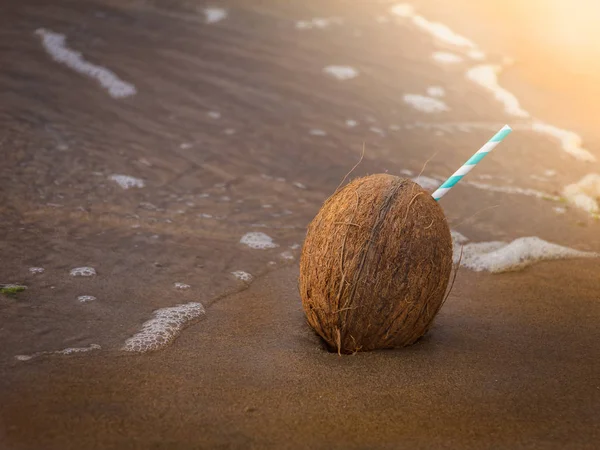 Summer vacation. Coconut by the sea. Textured background of wet — Stock Photo, Image