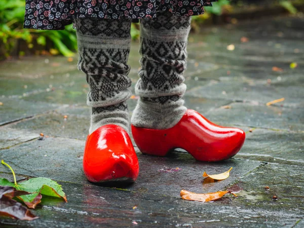 Autumn, Provincial life in the Netherlands. women's peasant wear — Stock Photo, Image