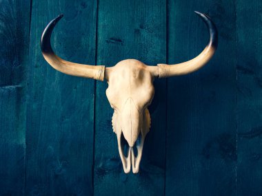 Geyik boynuzları koyu mavi kaba ahşap arka plan, yakın plan, tam yüz.