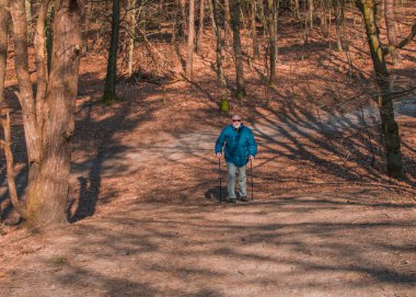 Son sınıf öğrencisi, sonbahar güneşli ormanın manzarasında yürüyor, yukarıdan bakıyor.
