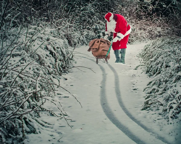 Święty Mikołaj Wychodzi Lasu Prezentami — Zdjęcie stockowe