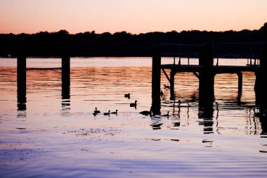 Gün batımında ördek siluetleri ile Lake.