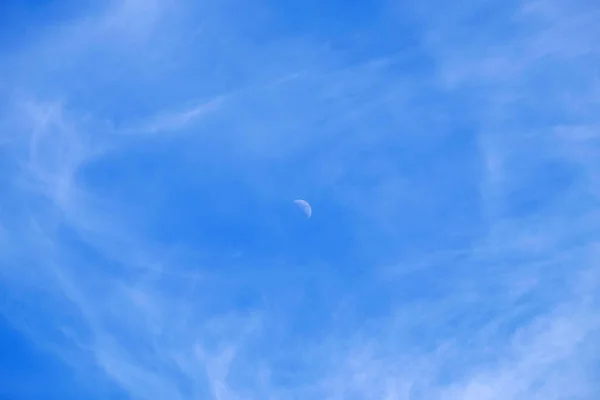 Бэкхед с голубым небом, луной и белыми кудрями . — стоковое фото