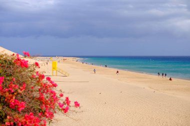 Morro Jab altın kum ve okyanus ile sahilde yukarıdan görünümü