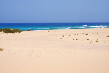 Fuerteventura üzerinde Beach Corralejo, Kanarya Adaları.
