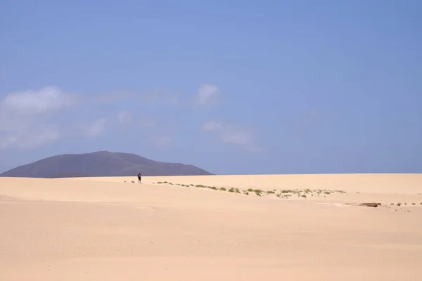 Wydmy w parku narodowym Corralejo, Fuerteventura. — Zdjęcie stockowe