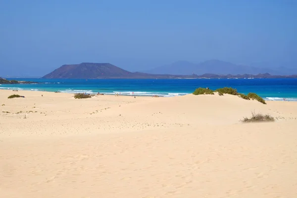 Zandduinen en strand in nationaal park Corralejo, Fuerteventura. — Stockfoto