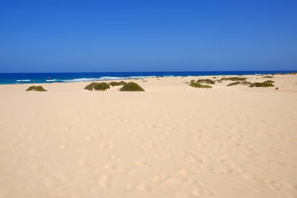 Dunas de arena y playa en Parque Nacional Corralejo, Fuerteventura . —  Fotos de Stock