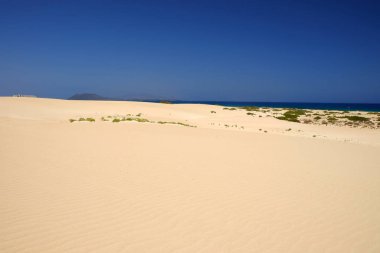 Ulusal Park Corralejo, Fuerteventura kum tepeleri ve plaj.