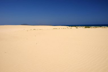 Ulusal Park Corralejo, Fuerteventura kum tepeleri ve plaj.