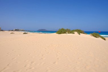 Ulusal Park Corralejo, Fuerteventura kum tepeleri ve plaj.