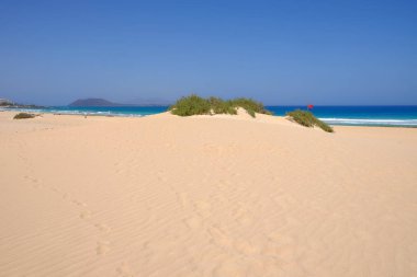 Ulusal Park Corralejo, Fuerteventura kum tepeleri ve plaj.