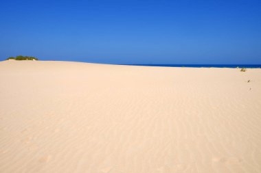 Ulusal Park Corralejo, Fuerteventura kum tepeleri ve plaj.