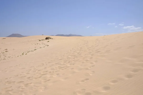 Sanddünen im Nationalpark Corralejo, Fuerteventura. — Stockfoto