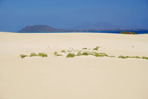 Dunas de arena y playa en Parque Nacional Corralejo, Fuerteventura . —  Fotos de Stock