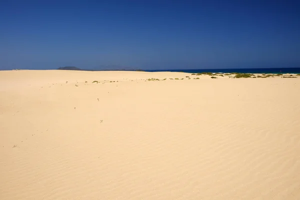 沙丘和海滩在国家公园科拉莱霍，富埃特文图拉. — 图库照片