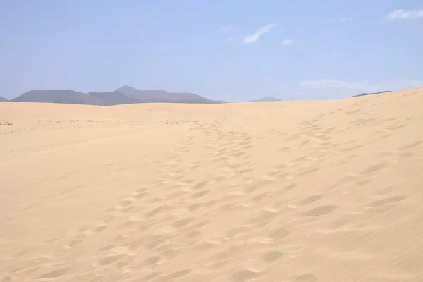 Wydmy w parku narodowym Corralejo, Fuerteventura. — Zdjęcie stockowe