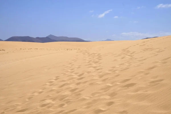Dunas de arena en Parque Nacional Corralejo, Fuerteventura . —  Fotos de Stock