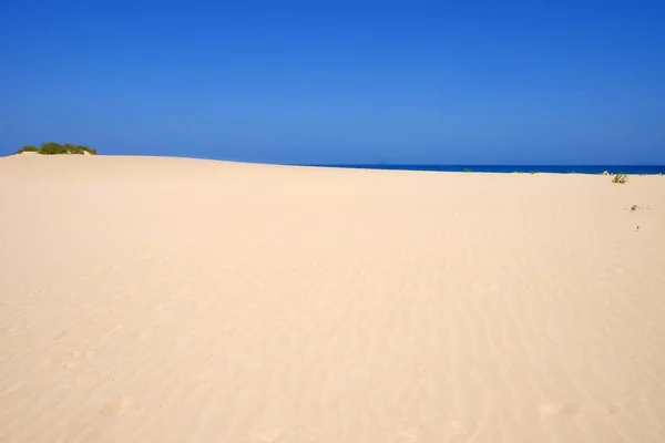 Sand Dunes and beach in National Park Corralejo, Fuerteventura. — Stock Photo, Image